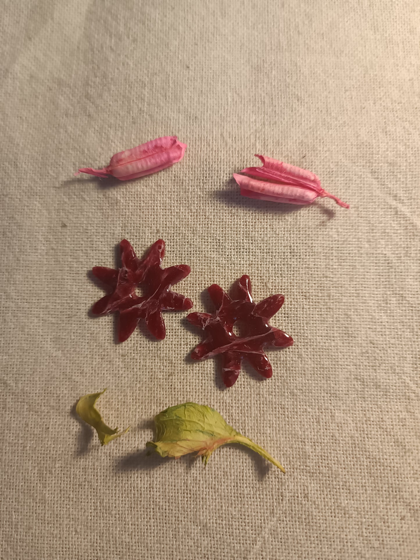 Les "DAISIES"